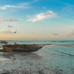 Beach with a boat, Zanzibar