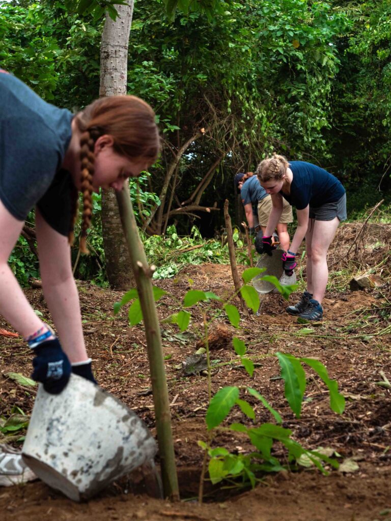 student travellers planting trees on a school project in Ecuador