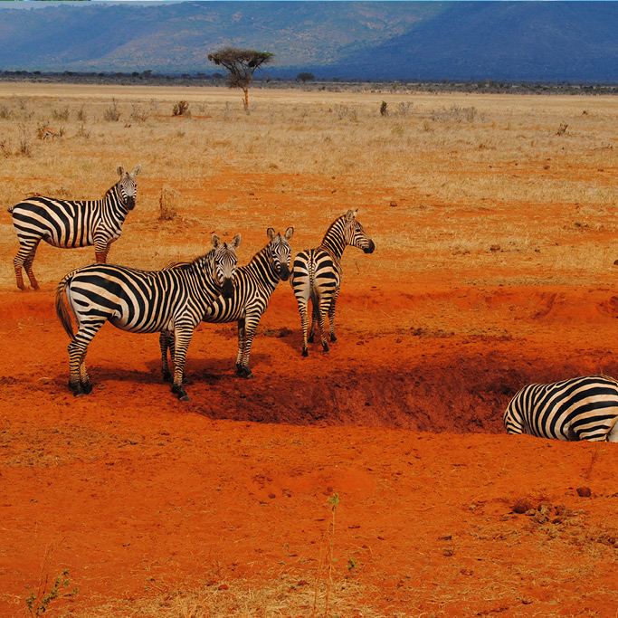 camp kenya