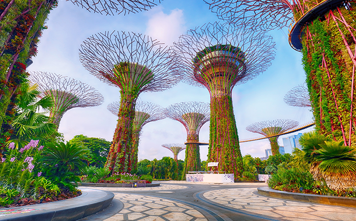 The Supertree Grove at Gardens by the Bay in Singapore.